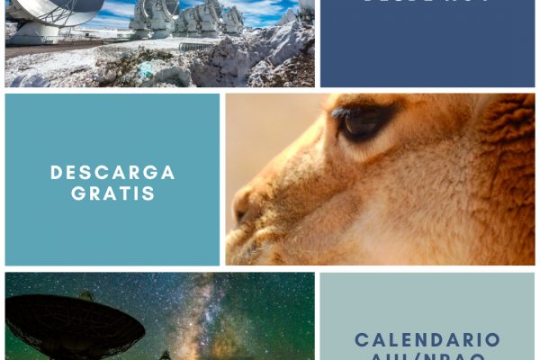 Descarga gratis nuestro calendario 2020